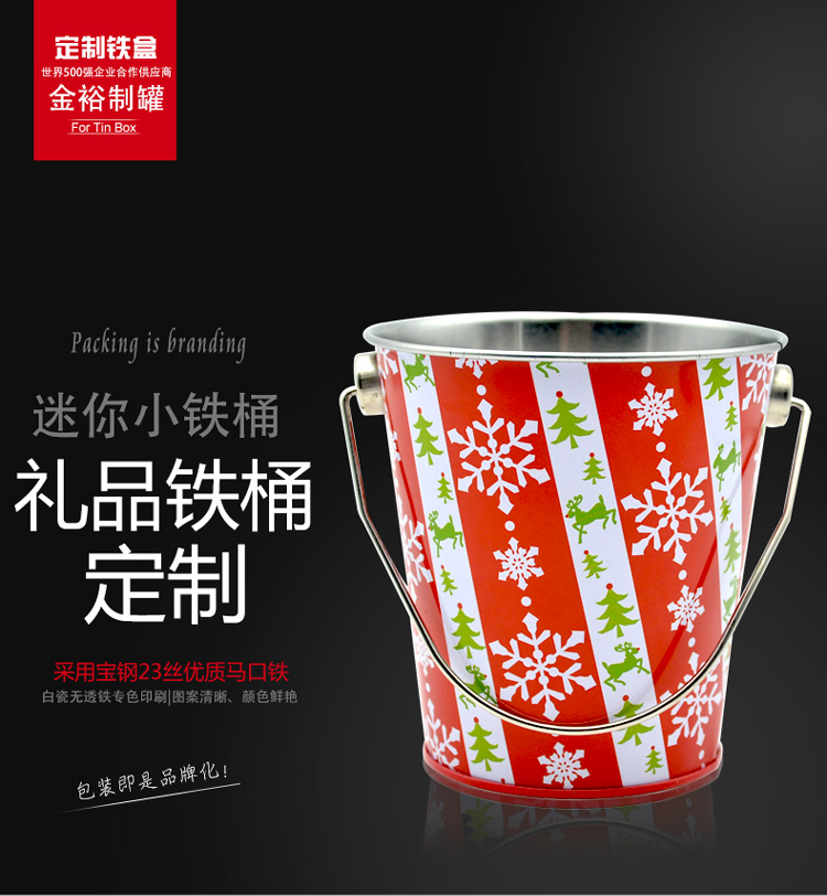 歐式創(chuàng  )意簡(jiǎn)約迷你小鐵桶-桌面裝飾小型收納小桶_01.jpg